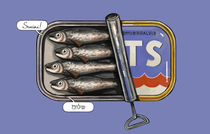 sardines
